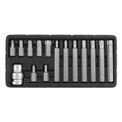 YT-0417 Set Biti Torx 15 Piese T20-T55