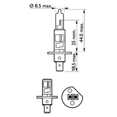 Bec H1 12V/55W Philips Longlife Ecovision 1 buc. P14.5S Base