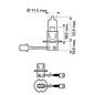 Bec H3 12V/55W +30% Vision PK22S 1 Buc Blister 1 Buc