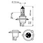 Bec H4 12V/60/55 Longlife Ecovision P43T-38 1 Buc.