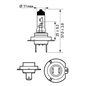 Bec Philips H7 H7 12V/55W PX26d  De Lunga Durata (1 Buc.)