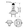 Bec H7