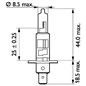 Bec H1 24v/70W Masterduty  P14,5S 1 buc. Blister