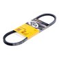 Curea Accesorii - Continental AVX10X685