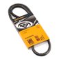 Curea Accesorii - Continental AVX10X975