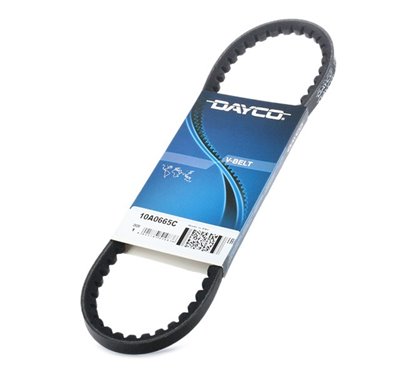 Curea Accesorii - Dayco 10A0665C