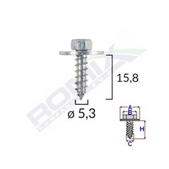 Surub Cu Saiba Ford Opel 5.5X19Mm Set 10 Buc