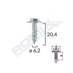 Surub Cu Saiba Alfa Romeo Fiat 6.2X20.4Mm Set 10 Buc