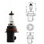 Bec HB5 12V 65/55W L01627 Trifa