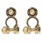 Set borne acumulator cupru, fixare cu surub M10 509.40 Alca
