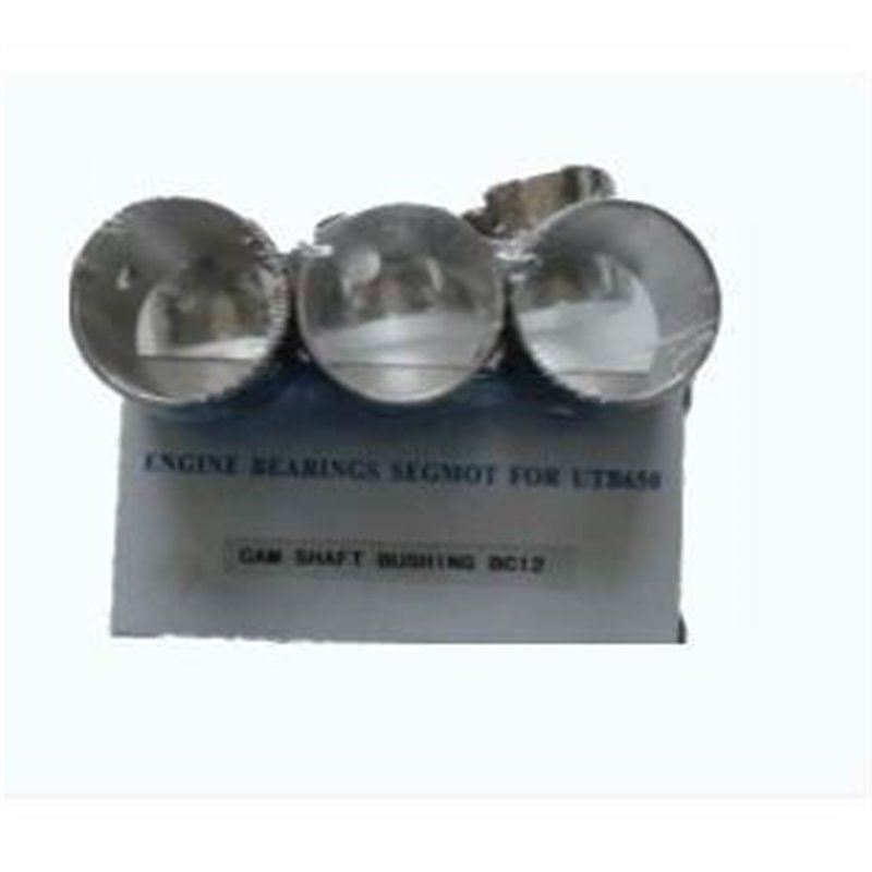 Set bucsa ax came   U650 BC12   110.01.194/195/196 