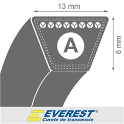 Curea 13x8x2950 trapezoidala, transmisie, pentru cositoare  EVEREST