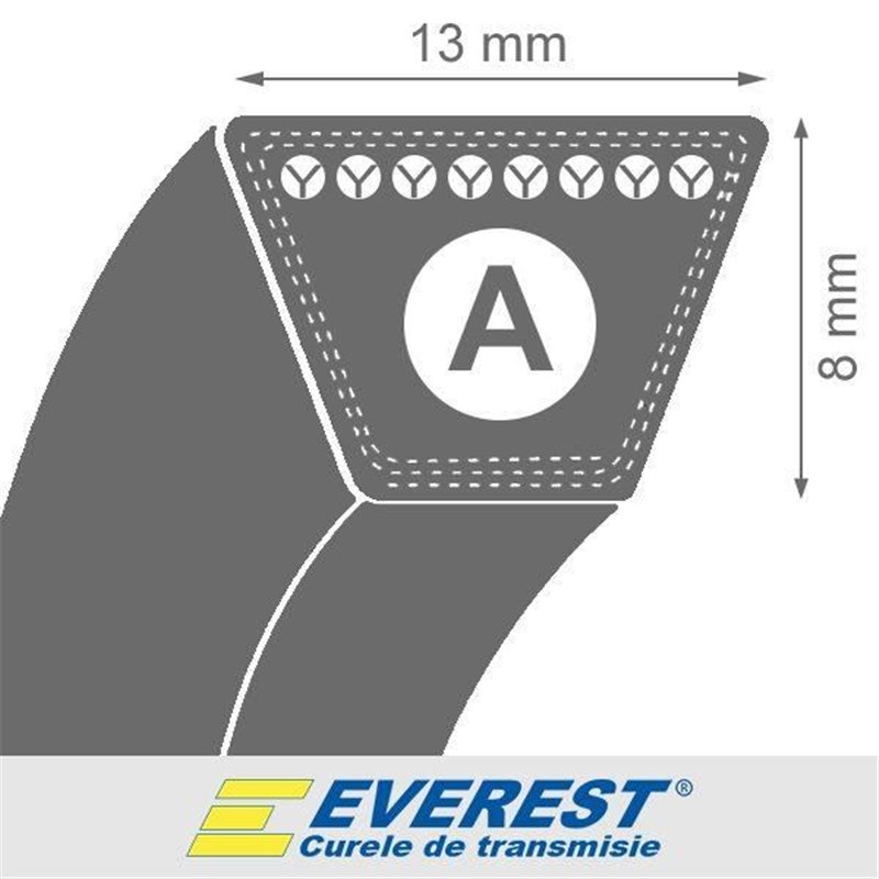 Curea 13x8x2950 trapezoidala, transmisie, pentru cositoare  EVEREST