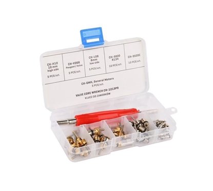 Set 41 bucati, ventile si surubelnita 86432 Carmotion