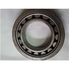 Rulment NU 224