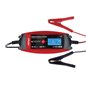 Redresor digital auto 6V/12V, 2A/4A, DVL DBC-4A 02088 Amio Redresor digital auto 6V/12V, 2A/4A, DVL DBC-4A 02088 Amio