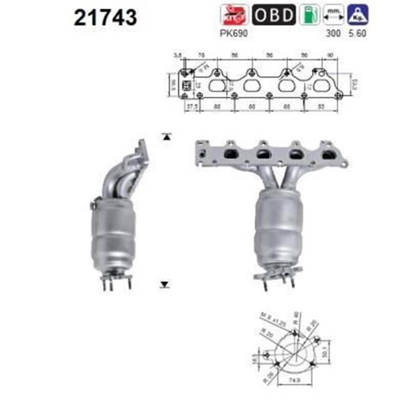 Catalizator - AS 21743