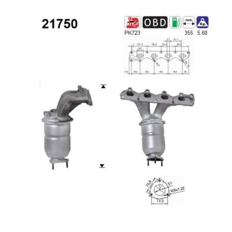 Catalizator - AS 21750