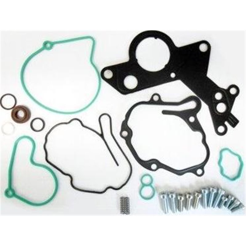 Set Reparatie Pompa Vacuum