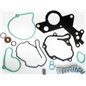 Set Reparatie Pompa Vacuum