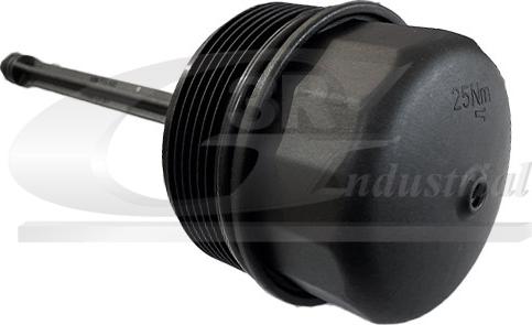 3RG 98715 - Capac, carcasa filtru ulei aaoparts.ro
