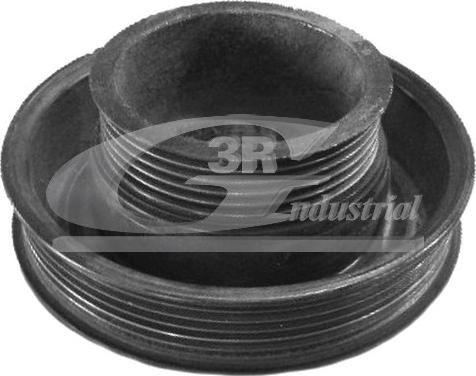 3RG 10314 - Fulie curea, arbore cotit aaoparts.ro