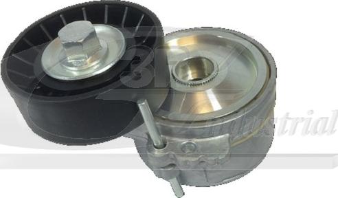 3RG 10227 - Intinzator curea, curea distributie aaoparts.ro