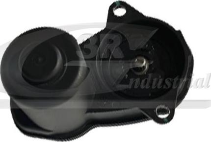 3RG 11100 - Element actionare. etrier frana de parcare aaoparts.ro