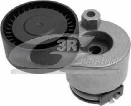 3RG 13650 - Intinzator curea, curea distributie aaoparts.ro