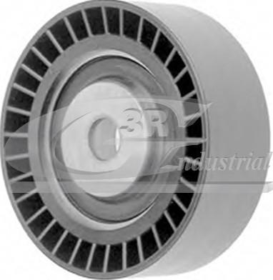 3RG 13103 - Rola ghidare / conducere, curea transmisie aaoparts.ro