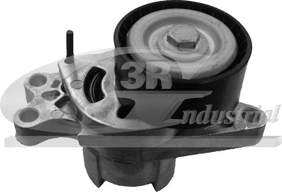 3RG 13202 - Intinzator curea, curea distributie aaoparts.ro
