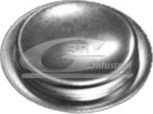 3RG 84051 - Dop, gaura de montaj ax culbutori aaoparts.ro