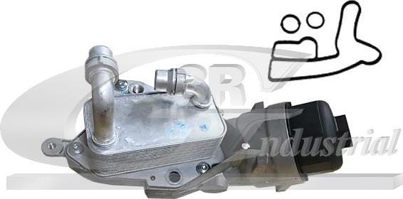 3RG 80984 - Radiator ulei, ulei motor aaoparts.ro