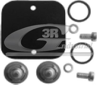 3RG 80004 - Membrana, pompa vacuum aaoparts.ro