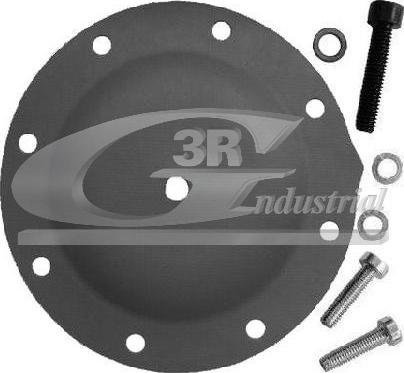 3RG 80002 - Membrana, pompa vacuum aaoparts.ro