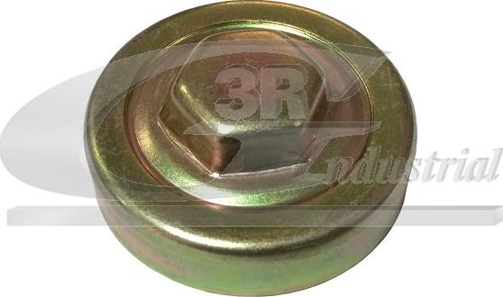 3RG 81663 - Buson,radiator aaoparts.ro