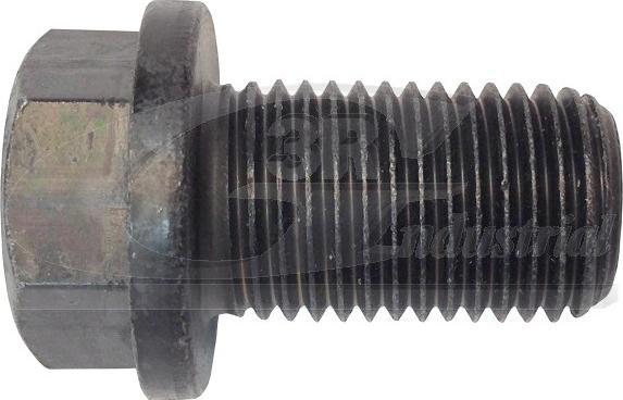 3RG 83044 - Surub de golire,baia de ulei aaoparts.ro