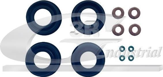 3RG 87204 - Chit reparatie, injectoare aaoparts.ro