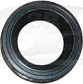 3RG 22244 - Rulment priza directa, ambreiaj aaoparts.ro