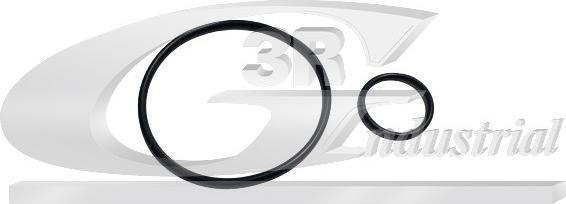 3RG 74209 - Set etansare, pompa vacuum aaoparts.ro