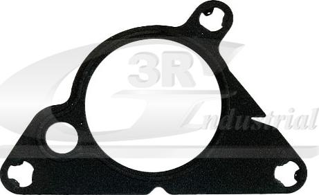 3RG 74213 - Garnitura, pompa vacuum aaoparts.ro