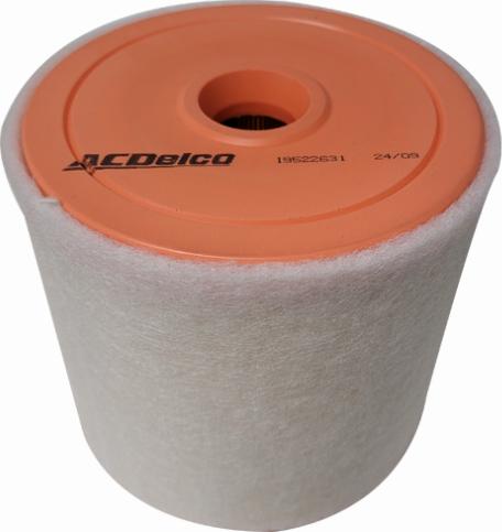 ACDelco 19522631 - Filtru aer aaoparts.ro
