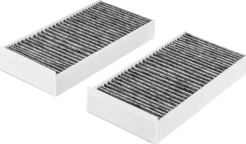 ACDelco 19522621 - Filtru, aer habitaclu aaoparts.ro