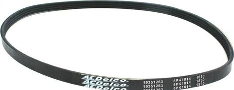 ACDelco 19351263 - Curea transmisie cu caneluri aaoparts.ro