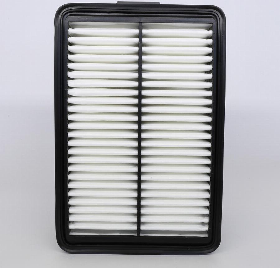 ACDelco ACA388 - Filtru aer aaoparts.ro
