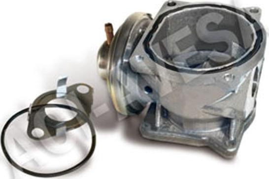 ACI-AVESA AEGR-928 - Supapa EGR aaoparts.ro