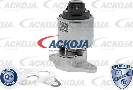ACKOJA A51-63-0005 - Supapa EGR aaoparts.ro