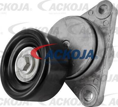 ACKOJA A51-0014 - Intinzator curea, curea distributie aaoparts.ro