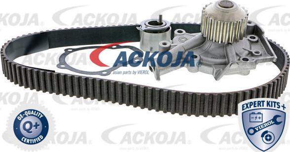 ACKOJA A51-0202W - Set pompa apa + curea dintata aaoparts.ro
