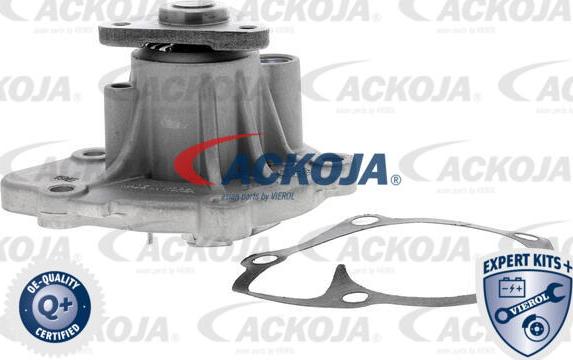 ACKOJA A53-50003 - Pompa apa aaoparts.ro